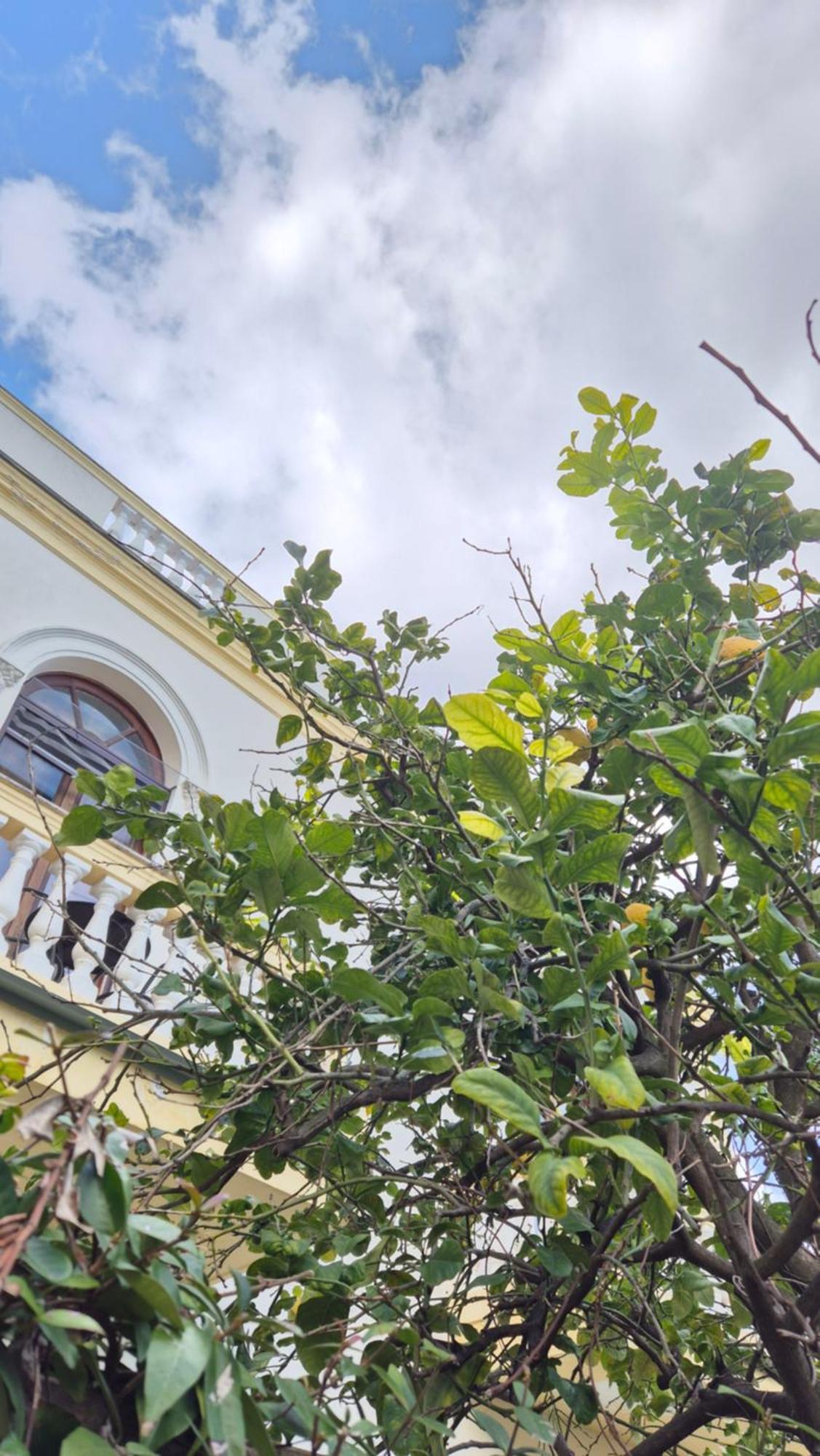 Relais Villa Montedonzelli Neapel Exteriör bild